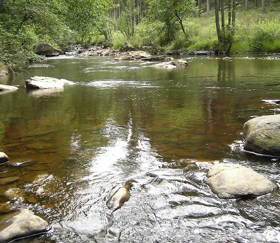 Eifellounge * 몬샤우