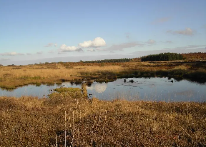 Eifellounge 아파트